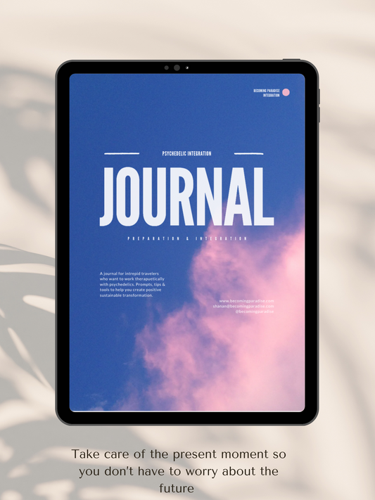 The Integration Journal
